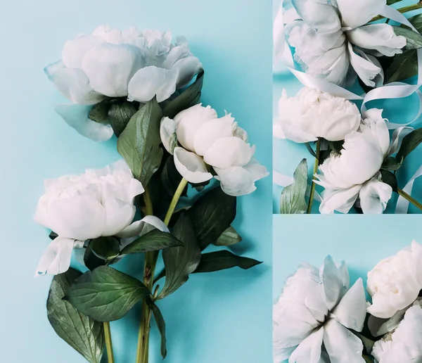 Top View White Peonies Blue Background Collage — Stock Photo, Image