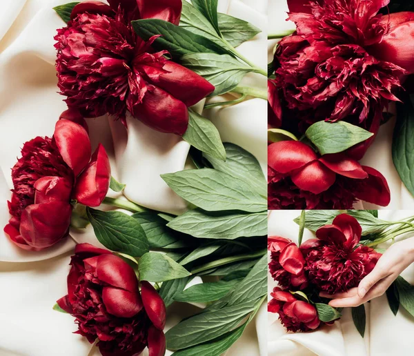 Top View Red Peonies White Cloth Collage — Stock Photo, Image