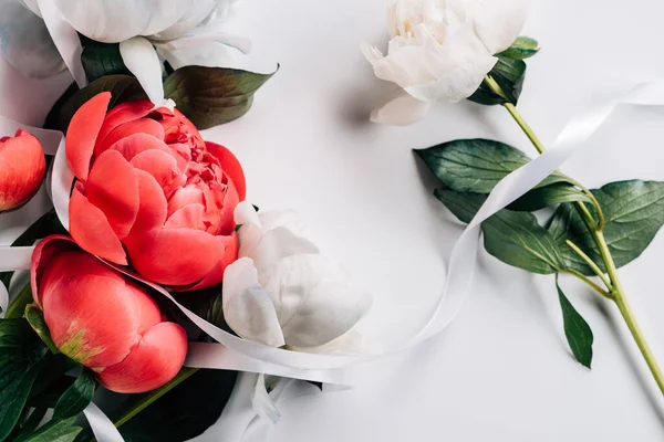 Top View Pink White Peonies Ribbon White Background — Stock Photo, Image