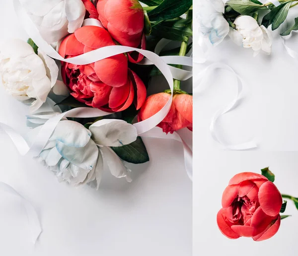 Collage Peonie Rosse Bianche Con Nastro Fondo Bianco — Foto Stock