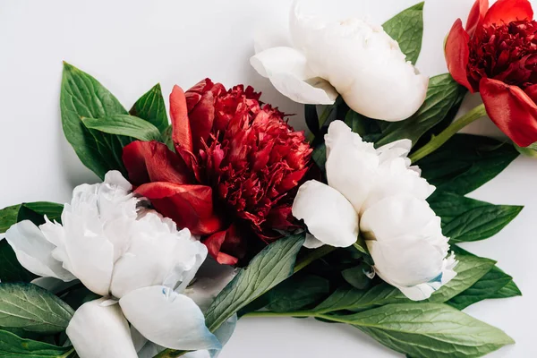 Vue Dessus Des Pivoines Rouges Blanches Avec Des Feuilles Vertes — Photo