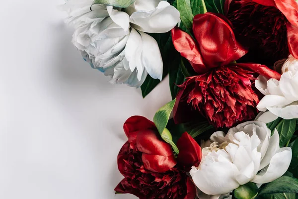 อปว วของดอกโบต แดงและส ขาวท ใบส ยวบนพ นหล ขาว — ภาพถ่ายสต็อก