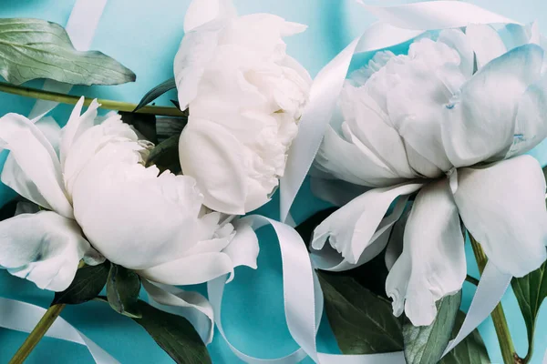 Top view of white peonies with ribbon on blue background — Stock Image Top View White Peonies Ribbon Blue Background Stock Image