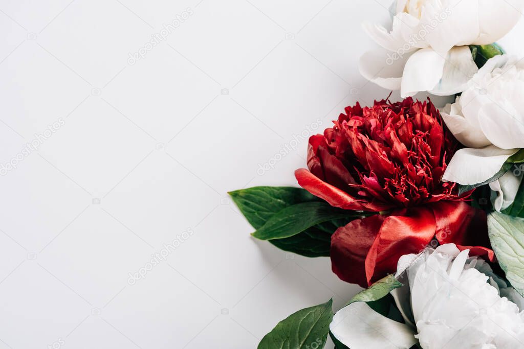 top view of red and white peonies with green leaves on white background
