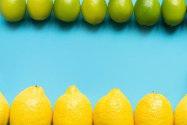 Mavi arkaplandaki olgun sarı limonların ve limonların üst görünümü