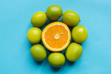 Olgun turuncu ve limonların üst görüntüsü mavi arkaplanda daire şeklinde dizilmiş.