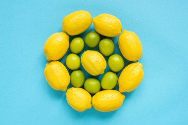 Mavi zemin üzerinde daireler çizerek sıralanmış olgun sarı limon ve limonların üst görüntüsü