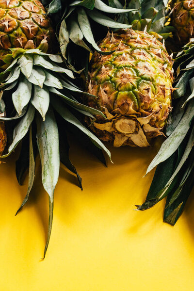 fresh ripe pineapples with green leaves on yellow background
