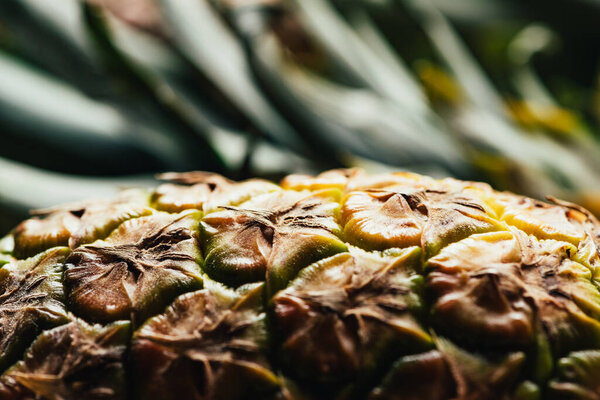 close up view of textured peel of pineapple