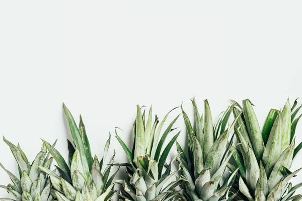 Posa Piatta Con Foglie Ananas Verde Sfondo Bianco — Foto Stock