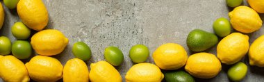 Gri beton yüzeyde renkli limonların, avokado ve limonların üst görünümü, panoramik çekim