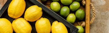 Yıpranmış yüzeyde ahşap kutularda limon ve limon manzarası, panoramik çekim