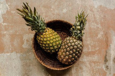 top view of ripe exotic pineapples in wicker basket on weathered surface clipart