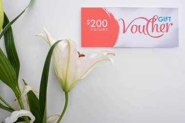 Nilüfer çiçeğinin beyaz arka planda 200 dolar harfi bulunan yaprakları ve hediye çeki.