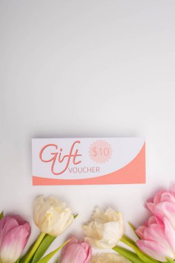 Lalelerin üst görüntüsü ve hediye çeki. Beyaz yüzey üzerinde 10 dolar işareti ve kopya alanı var.