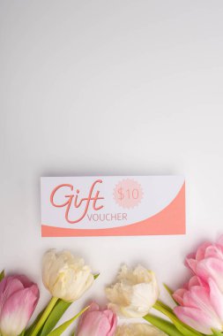 Top view of tulips and gift voucher with 10 dollars sign on white surface with copy space clipart