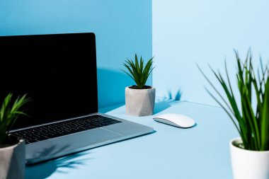 mavi arka planda yeşil bitkilerin yakınında bilgisayar faresi olan modern dizüstü bilgisayarın seçici odağı
