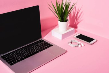 boş ekranlı modern cihazlar, kulaklıklar ve pembe arka planda bitkiler