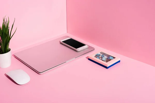 Moderne Gadgets Ordnerclips Und Pflanzen Auf Rosa Hintergrund — Stockfoto