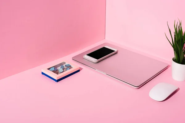 Moderne Gadgets Ordnerclips Und Pflanzen Auf Rosa Hintergrund — Stockfoto
