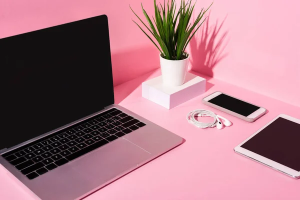 Aparatos Modernos Con Pantallas Blanco Auriculares Planta Sobre Fondo Rosa —  Fotos de Stock