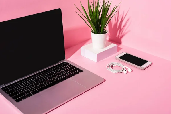 Modern Gadgets Blank Screens Earphones Plant Pink Background — Stock Photo, Image