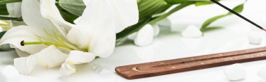 Beyaz arka planda Lily 'nin yanında ahşap tezgahta aroma çubuğu, panoramik çekim