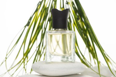 selective focus of home perfume in bottle on spa stone on white background clipart