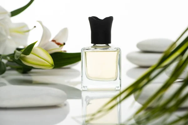 Foco Selectivo Perfume Cerca Piedras Spa Lirios Aislados Blanco — Foto de Stock
