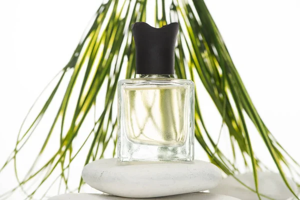 Wybiórcze Skupienie Perfum Domowych Butelce Kamieniu Spa Białym Tle — Zdjęcie stockowe
