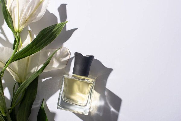 Top view of home perfume in bottle near lilies on white background
