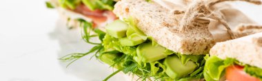 selective focus of fresh green sandwich with avocado on white surface, panoramic shot clipart