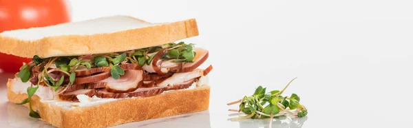 Selective Focus Fresh Delicious Sandwich Meat Sprouts White Surface Panoramic — Stock Photo, Image
