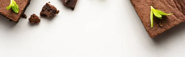 Vue Dessus Délicieux Morceaux Brownie Avec Menthe Sur Fond Blanc — Photo