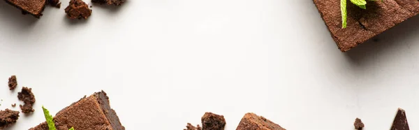 Bovenaanzicht Van Heerlijke Brownie Stukken Met Munt Witte Achtergrond Panoramisch — Stockfoto