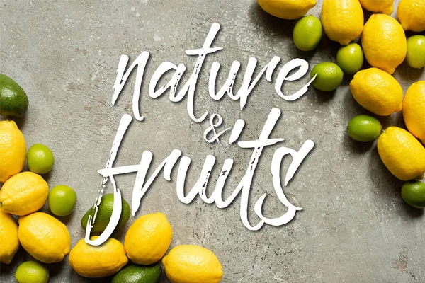 Top View Colorful Avocado Limes Lemons Grey Concrete Surface Nature — Stock Photo, Image