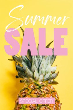fresh ripe pineapple with green leaves on yellow background with summer sale illustration clipart