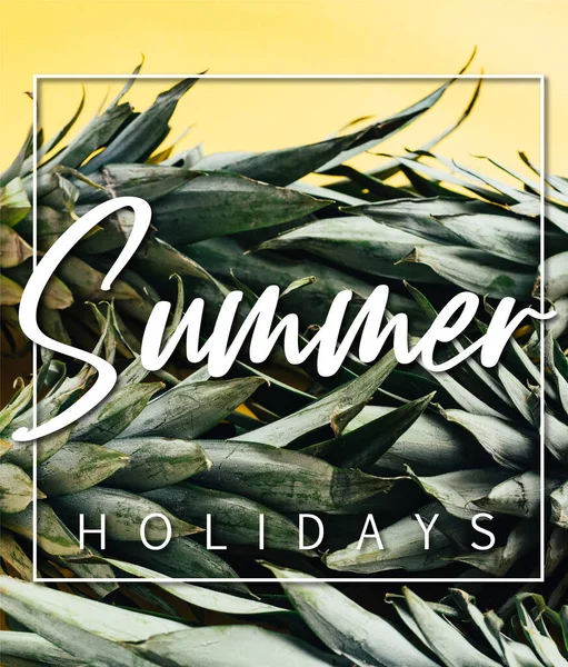 Green Pineapple Leaves Isolated Yellow Background Summer Holidays Illustration — Stock Photo, Image