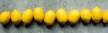 Beton desenli yüzeyde sıralanmış olgun sarı limonların üst görünümü, panoramik mahsul
