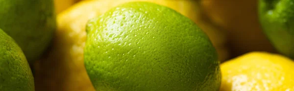 Close View Fresh Ripe Lemons Lime Panoramic Orientation — Stock Photo, Image