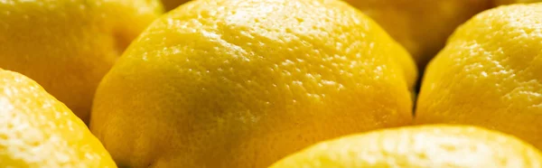 Zblízka Pohled Zralé Žluté Čerstvé Citrony Panoramatické Plodiny — Stock fotografie