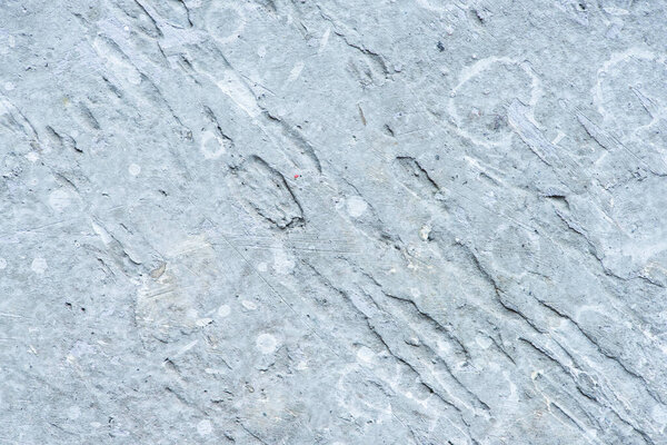 rough abstract grey concrete textured surface