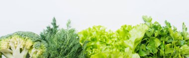 border of fresh green parsley, dill, broccoli and lettuce isolated on white, panoramic shot clipart