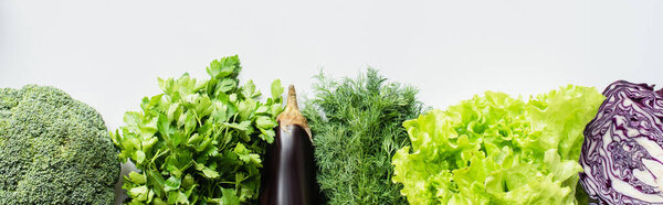 top view of greens, red cabbage and eggplant on white background, panoramic shot