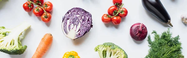 白を基調とした新鮮な野菜の数々のトップビュー パノラマショット — ストック写真