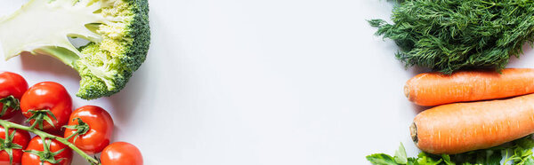 borders of colorful dill, carrots, broccoli and tomatoes on white background, panoramic shot