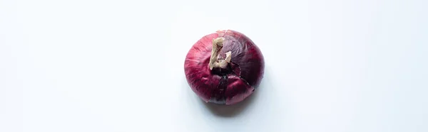 Top View Purple Whole Red Onion White Background Panoramic Shot — Stock Photo, Image