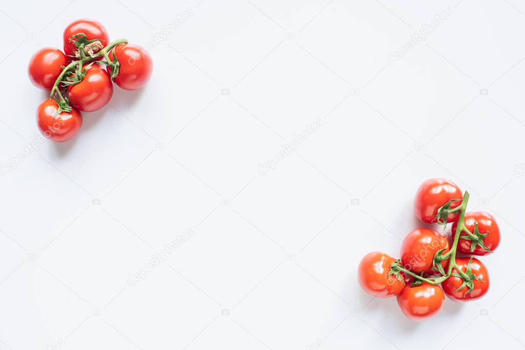 top view of red ripe fresh tomatoes on branches on white background