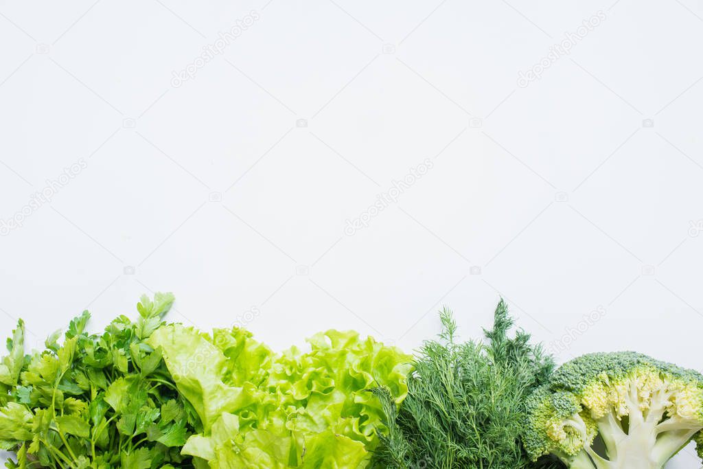 border of fresh green parsley, dill, broccoli and lettuce isolated on white