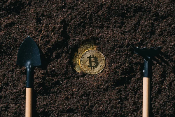 Vue de dessus des outils de jardinage arrangés et bitcoins dorés sur le sol — Photo de stock